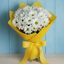 Букет цветов из:  Хризантемы в Новольвовск