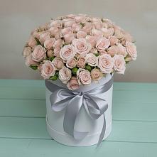 Цветочная композиция из Розы в шляпной коробке #REPLACE_PRED# Новольвовск