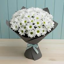Букет цветов из:  Хризантемы #REPLACE_PRED# Новольвовск
