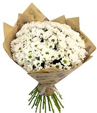 Букет цветов из:  Хризантемы #REPLACE_PRED# Новольвовск