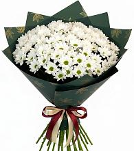 Букет цветов из:  Хризантемы #REPLACE_PRED# Новольвовск