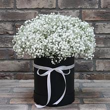 Цветочная композиция из Гипсофила в шляпной коробке в Новольвовск