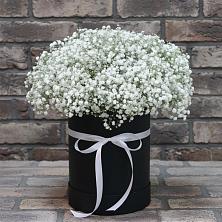 Цветочная композиция из Гипсофила в шляпной коробке в Новольвовск